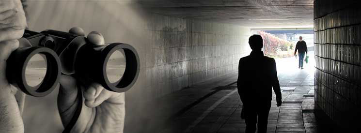 Surveillance Investigation